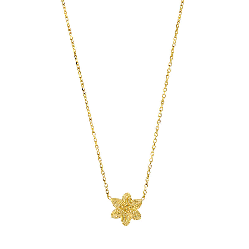 Collier Iris